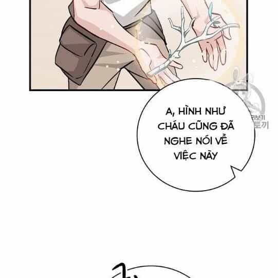 Level Up Chỉ Bằng Cách Ăn Cơm - Chương 41 - ảnh 34