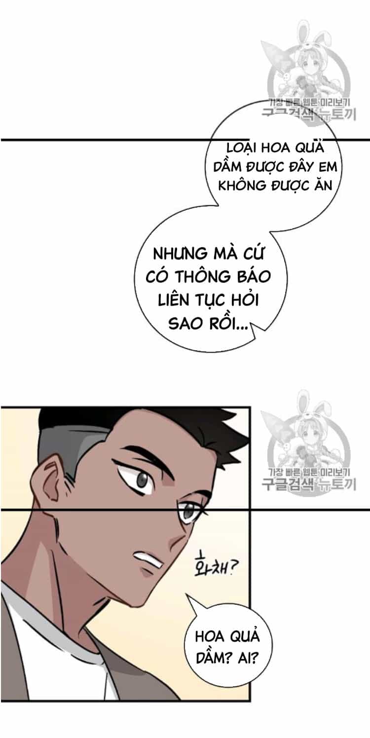 Level Up Chỉ Bằng Cách Ăn Cơm - Chương 49 - ảnh 17