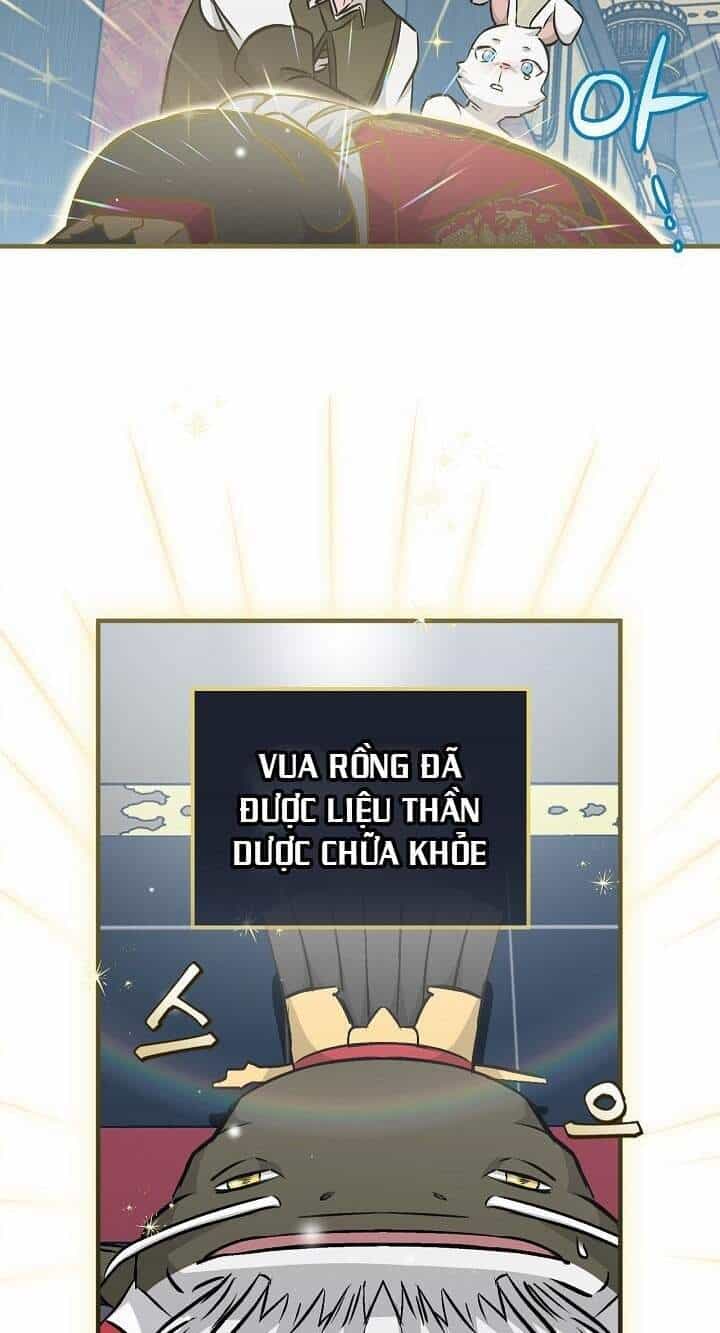 Level Up Chỉ Bằng Cách Ăn Cơm - Chương 73 - ảnh 47