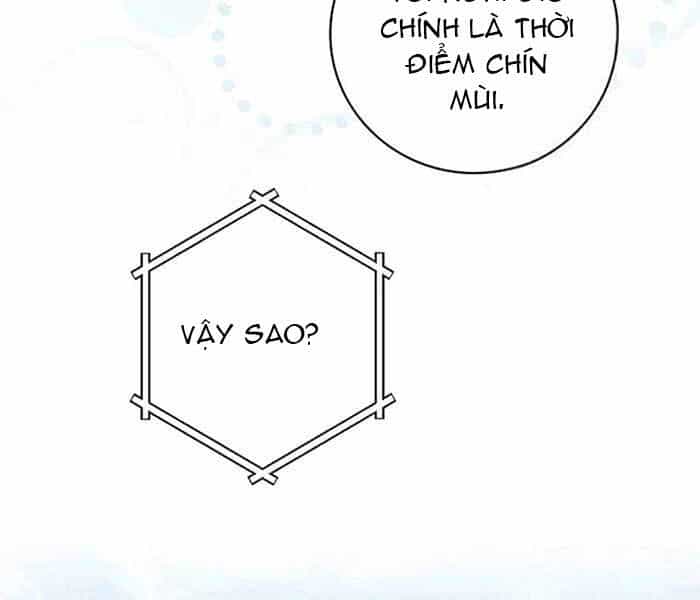 Level Up Chỉ Bằng Cách Ăn Cơm - Chương 85 - ảnh 20