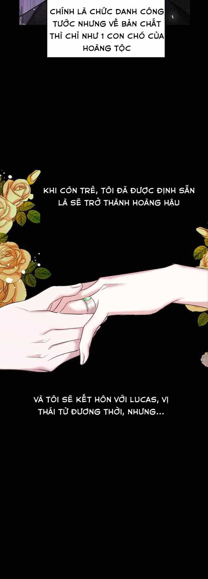 Liên Hôn Phục Thù - Chương 1 - ảnh 28