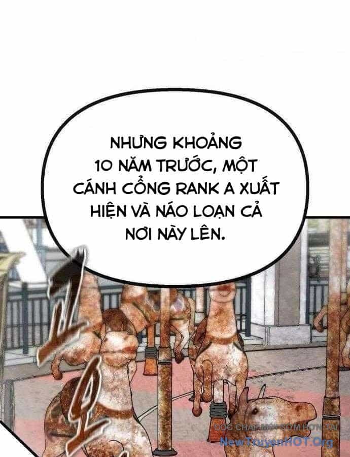 Lỗi Hệ Thống - Chương 45 - ảnh 15