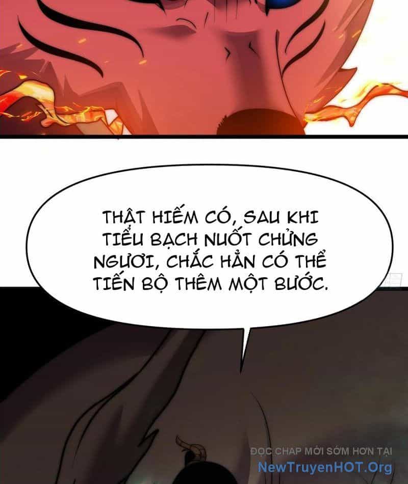 Lôi Kiếp Thập Vạn Niên - Chương 14 - ảnh 5