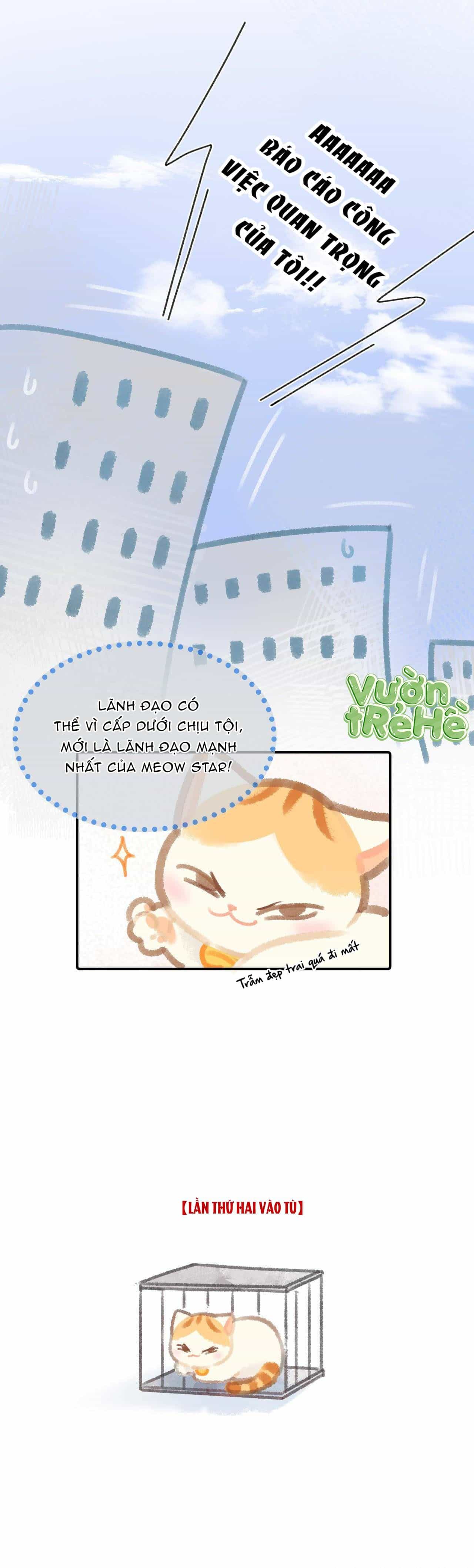 Lục Lạc Mèo - Chương 10 - ảnh 5