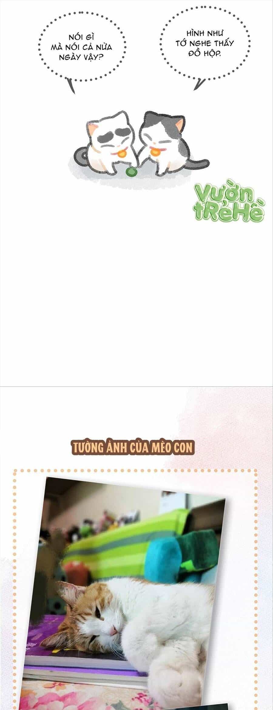 Lục Lạc Mèo - Chương 12 - ảnh 16