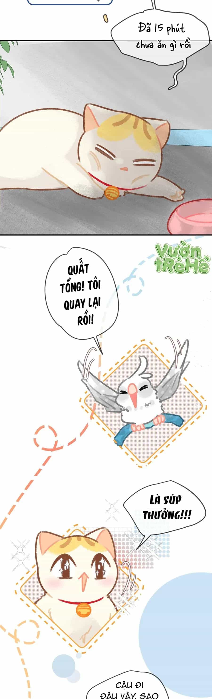 Lục Lạc Mèo - Chương 28 - ảnh 3