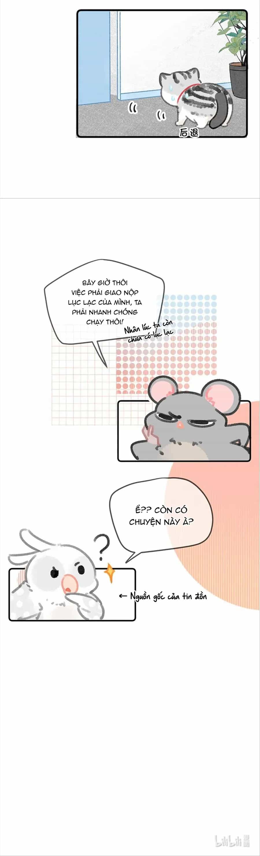 Lục Lạc Mèo - Chương 30 - ảnh 10