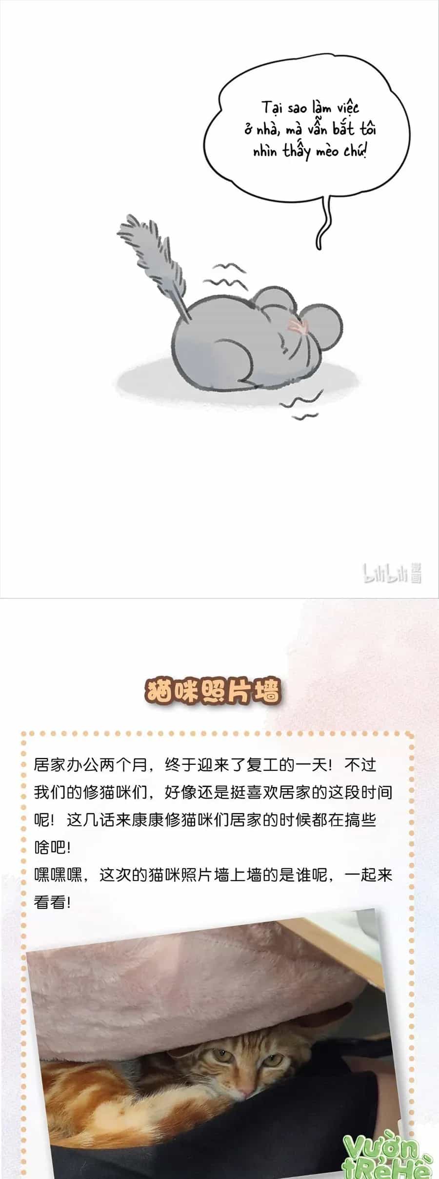 Lục Lạc Mèo - Chương 34 - ảnh 13