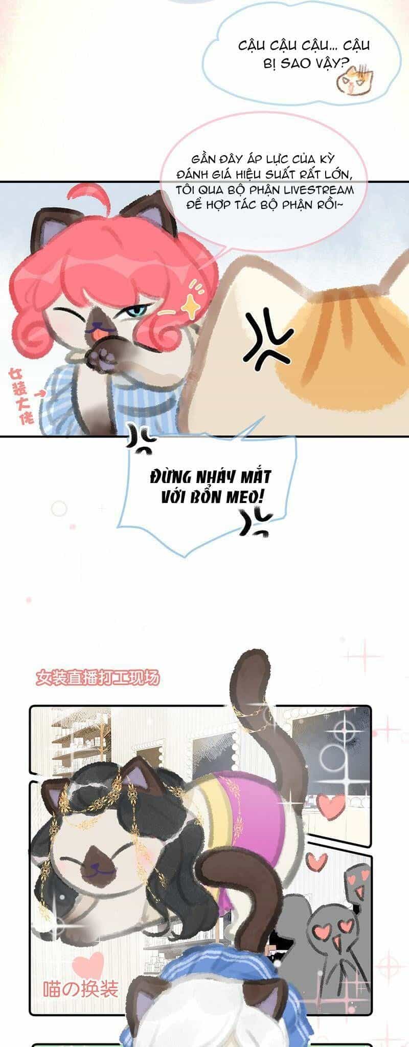 Lục Lạc Mèo - Chương 4 - ảnh 6