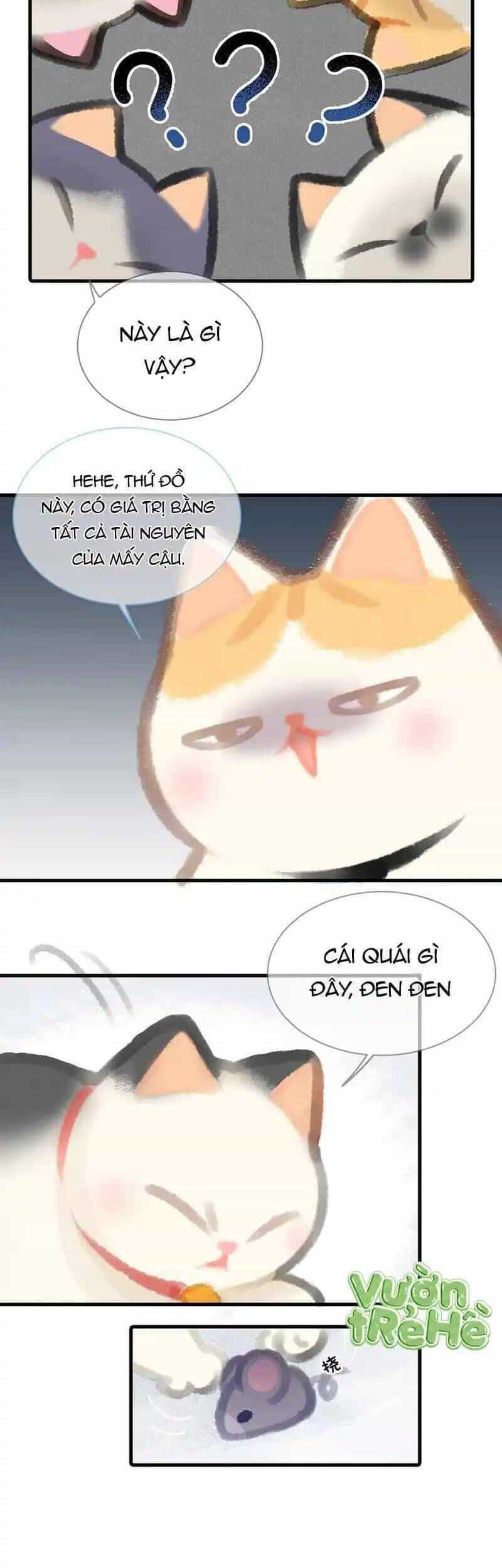 Lục Lạc Mèo - Chương 5 - ảnh 8