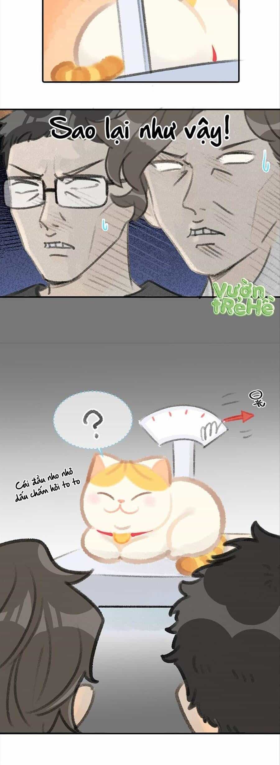Lục Lạc Mèo - Chương 7 - ảnh 4