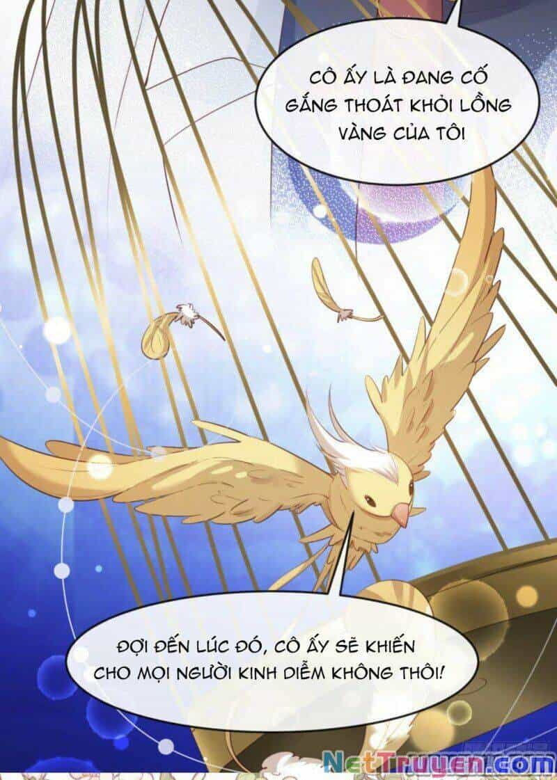 Lục Tổng, Vợ Ngài Lại Lên Top Tìm Kiếm Nữa Rồi! - Chương 32 - ảnh 25