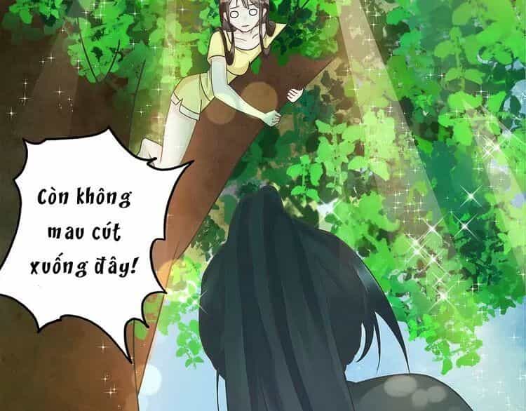 Luôn Có Điêu Dân To Gan Muốn Hại Trẫm - Chương 1 - ảnh 36