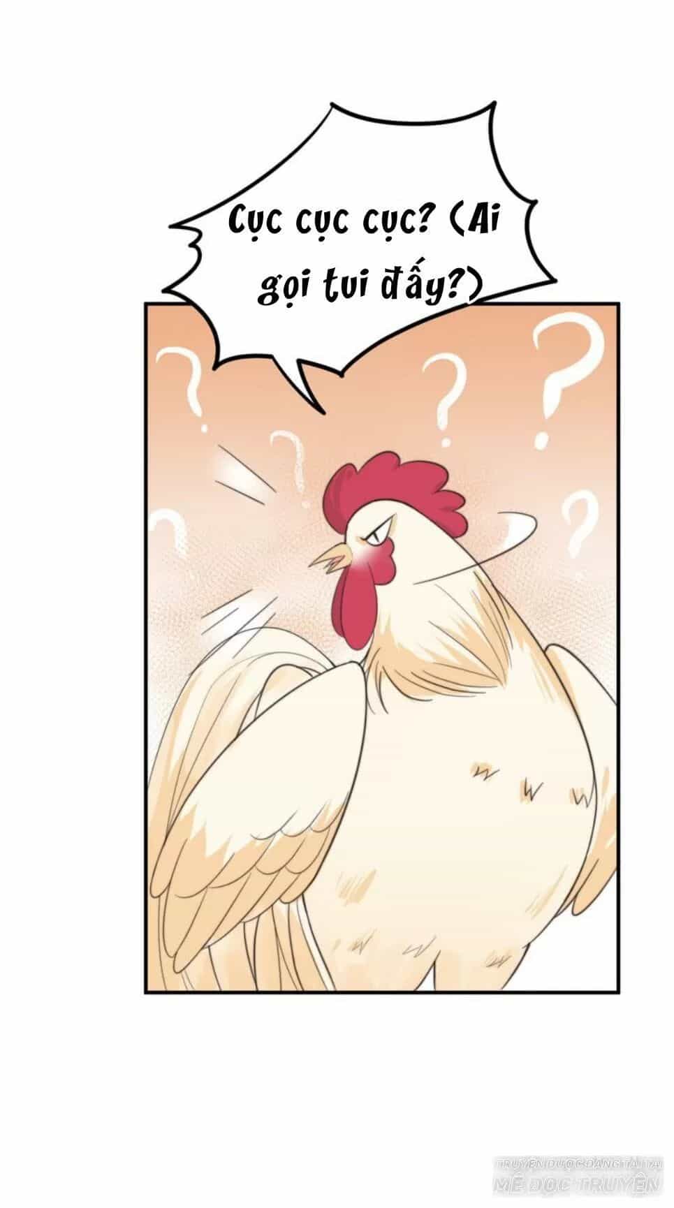 Luôn Có Điêu Dân To Gan Muốn Hại Trẫm - Chương 17 - ảnh 8