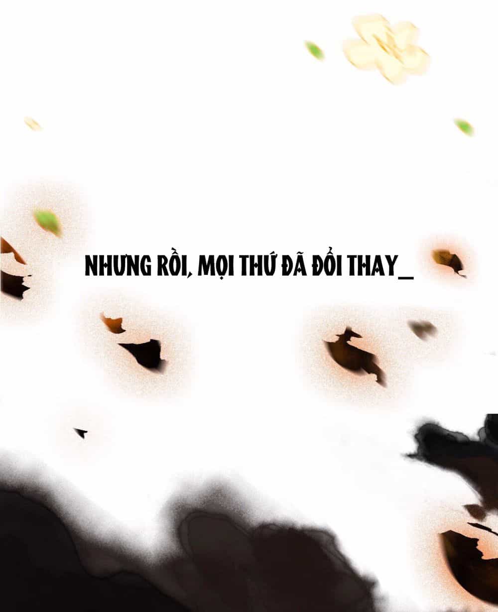 Lưu Hoa Bất Cập Xuân - Chương 0 - ảnh 13