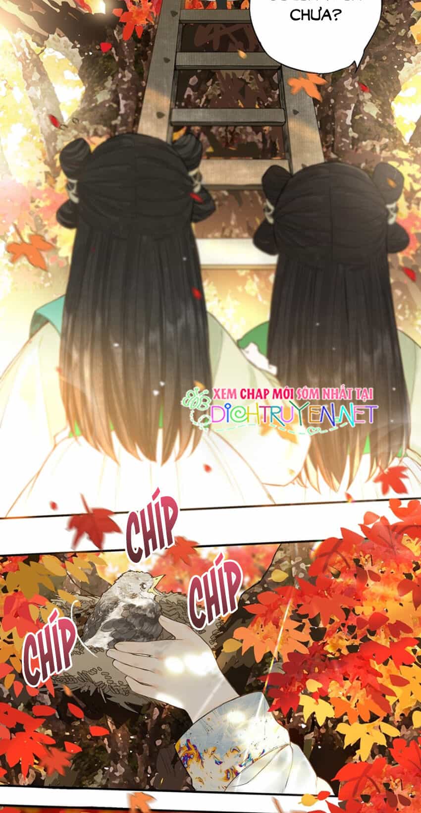 Lưu Hoa Bất Cập Xuân - Chương 22 - ảnh 6