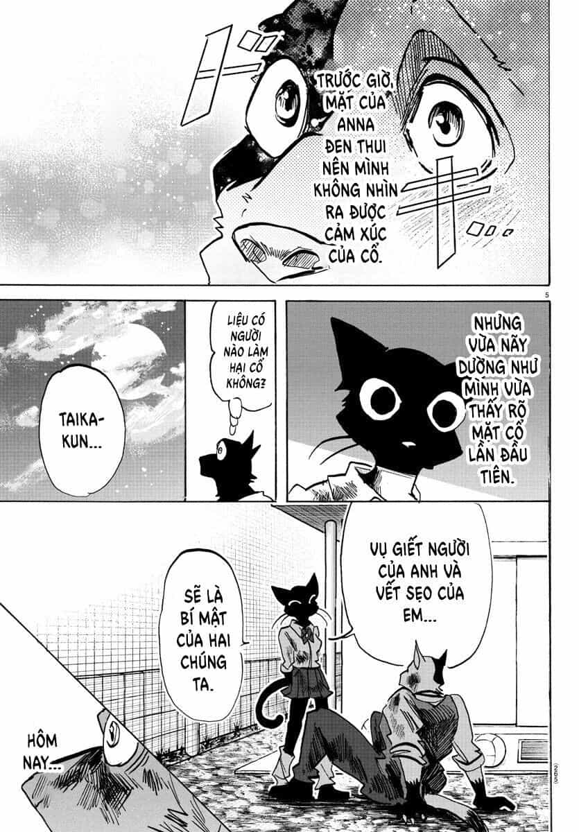 Lý Trí Của Taika - Chương 12 - ảnh 6