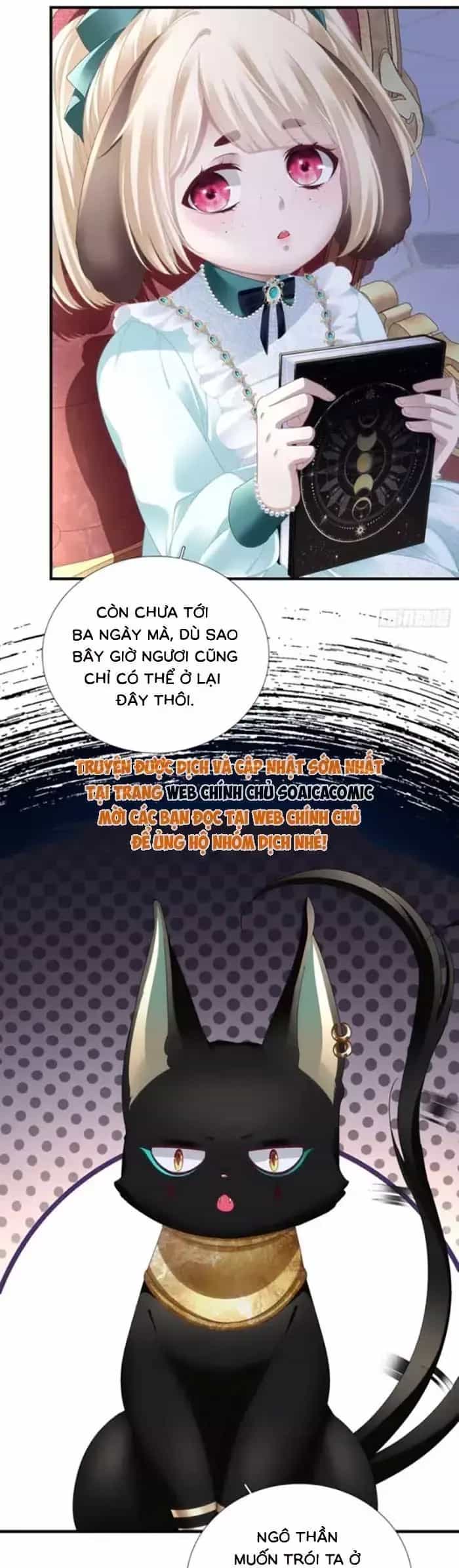 Ma Nữ Trở Lại Và Cuộc Hôn Nhân Định Mệnh - Chương 52 - ảnh 4