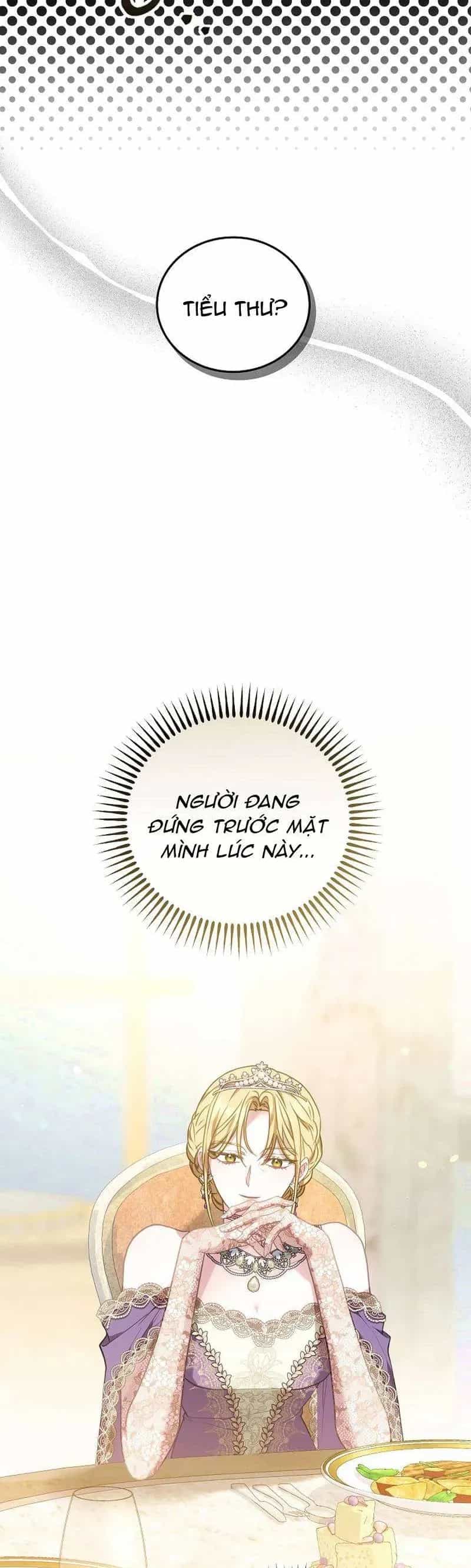 Mặc Dù Thích Ở Nhà Nhưng Tôi Lại Xuyên Vào Thể Loại Giam Cầm Đen Tối - Chương 24 - ảnh 39