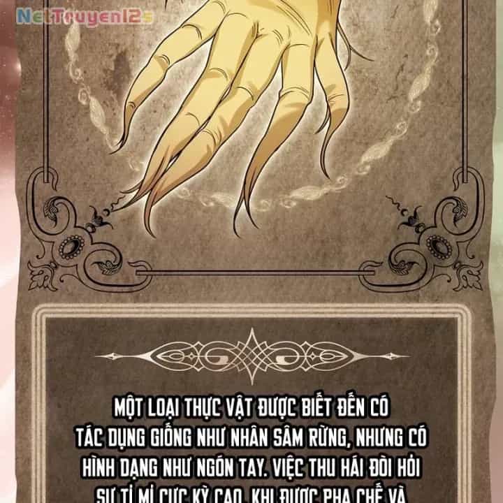 Mặc Kệ Kế Vị, Tôi Chỉ Muốn Chữa Lành - Chương 6 - ảnh 159
