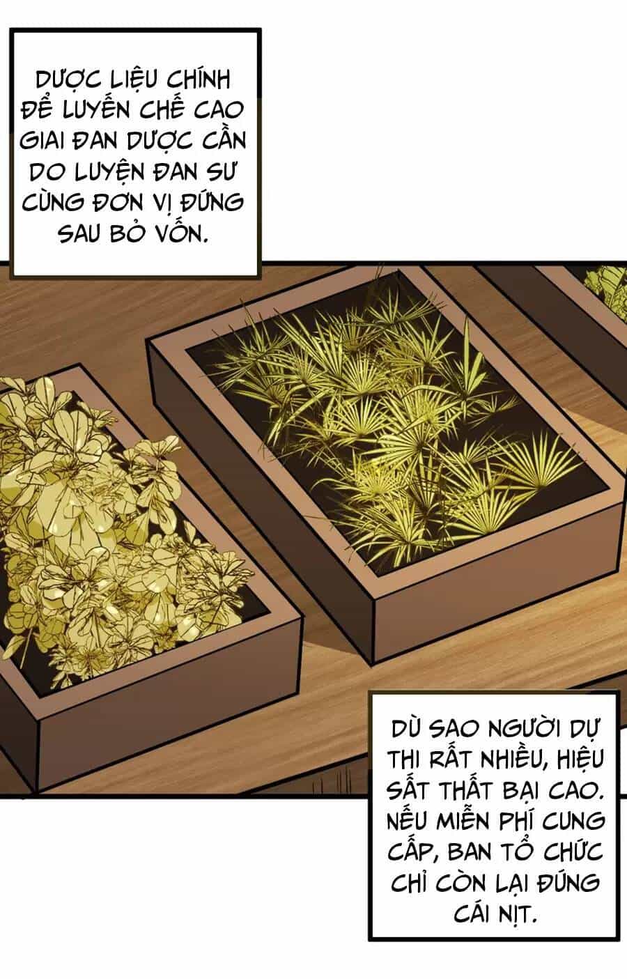Mang Theo Các Tiên Tử Vô Địch Thiên Hạ - Chương 35.1 - ảnh 15