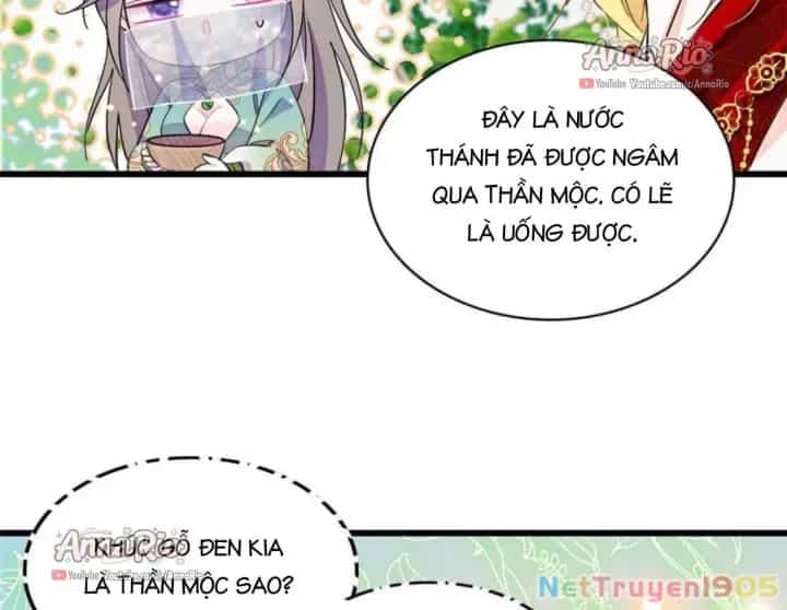 Manh Động Thú Thế - Chương 517 - ảnh 21