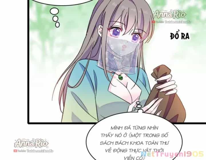 Manh Động Thú Thế - Chương 518 - ảnh 22