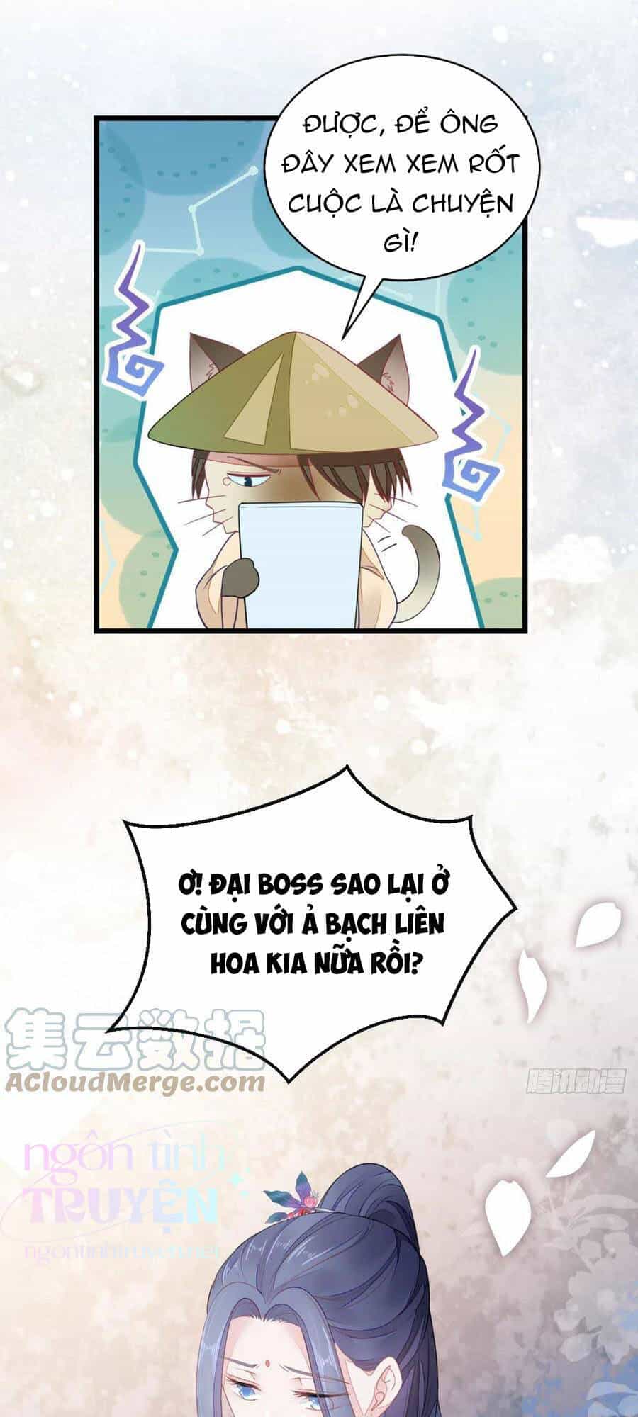 Mau Xuyên Không Rửa Tội Cho Nhân Vật Phản Diện - Chương 23 - ảnh 40