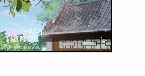 Mau Xuyên Không Rửa Tội Cho Nhân Vật Phản Diện - Chương 42 - ảnh 2