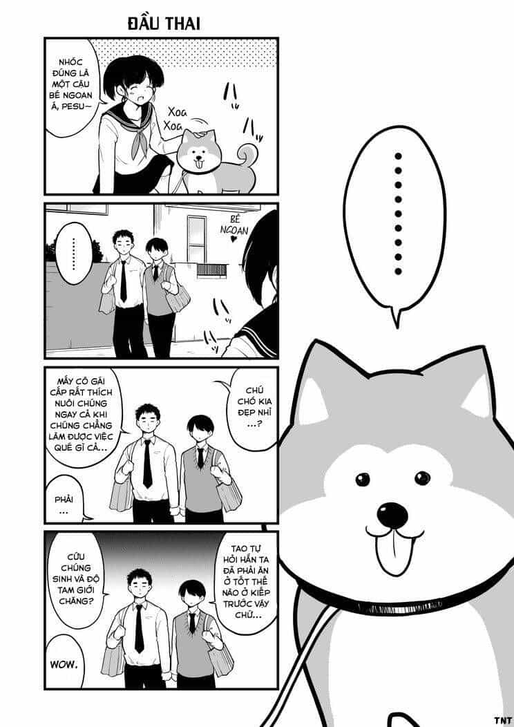 Meika-San Can't Conceal Her Emotions - Chương 3.5 - ảnh 2