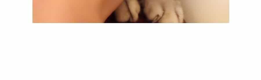 Miêu Hiệp - Chương 8 - ảnh 45