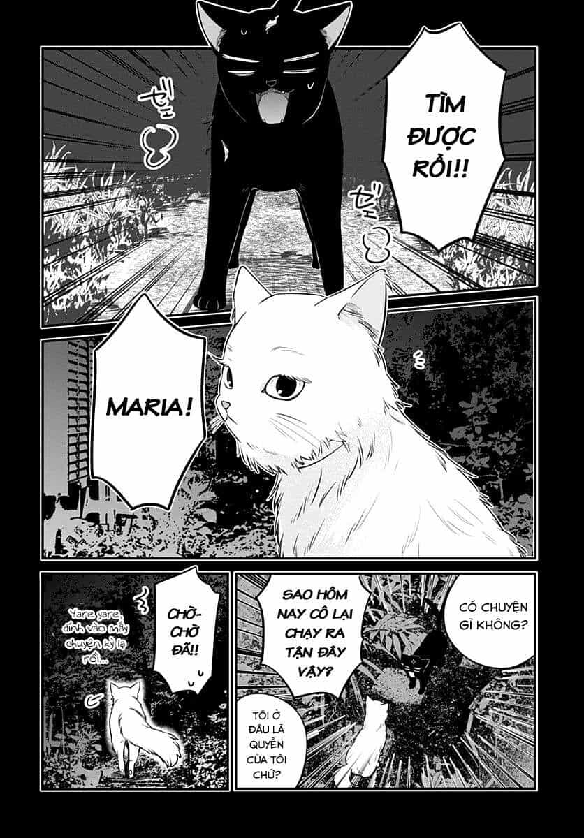 Mii-Chan Muốn Được Nhận Nuôi! - Chương 6 - ảnh 14