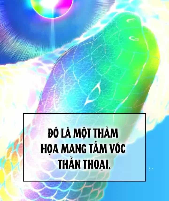 Mình Tao Là Siêu Việt Giả Mạnh Nhất! - Chương 100 - ảnh 12