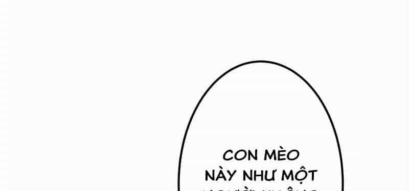 Mình Tao Là Siêu Việt Giả Mạnh Nhất! - Chương 20 - ảnh 422