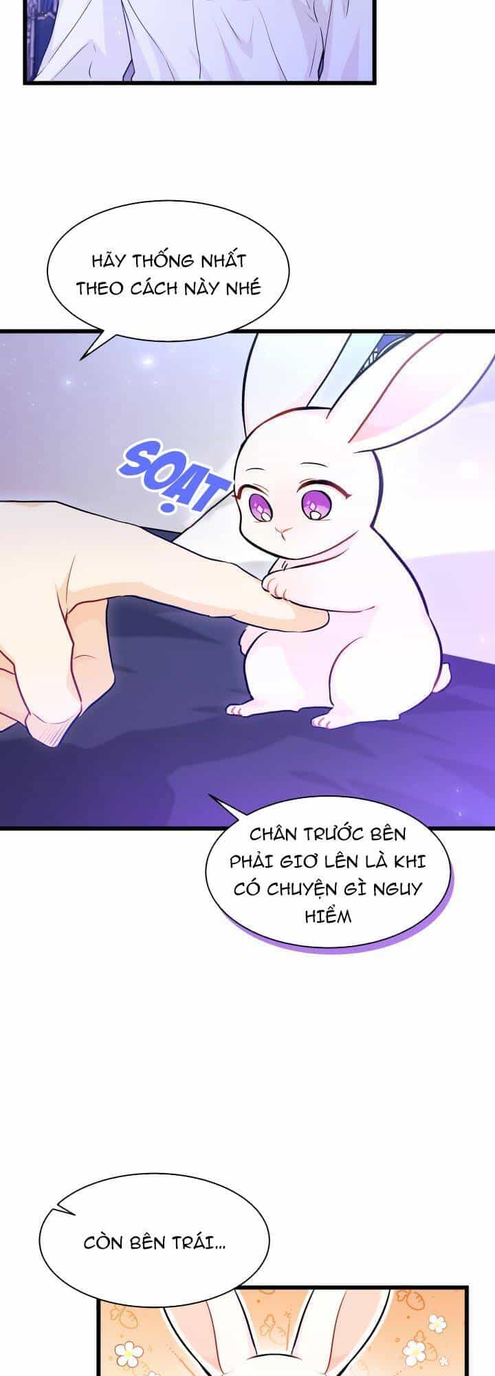 Mối Liên Kết Giữa Báo Đen Và Bé Thỏ - Chương 16 - ảnh 9