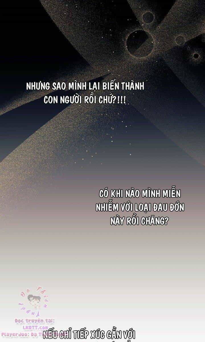 Mối Liên Kết Giữa Báo Đen Và Bé Thỏ - Chương 24 - ảnh 6