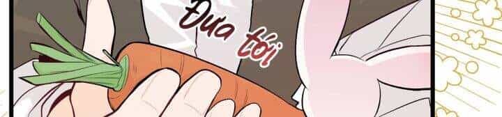 Mối Liên Kết Giữa Báo Đen Và Bé Thỏ - Chương 35 - ảnh 44