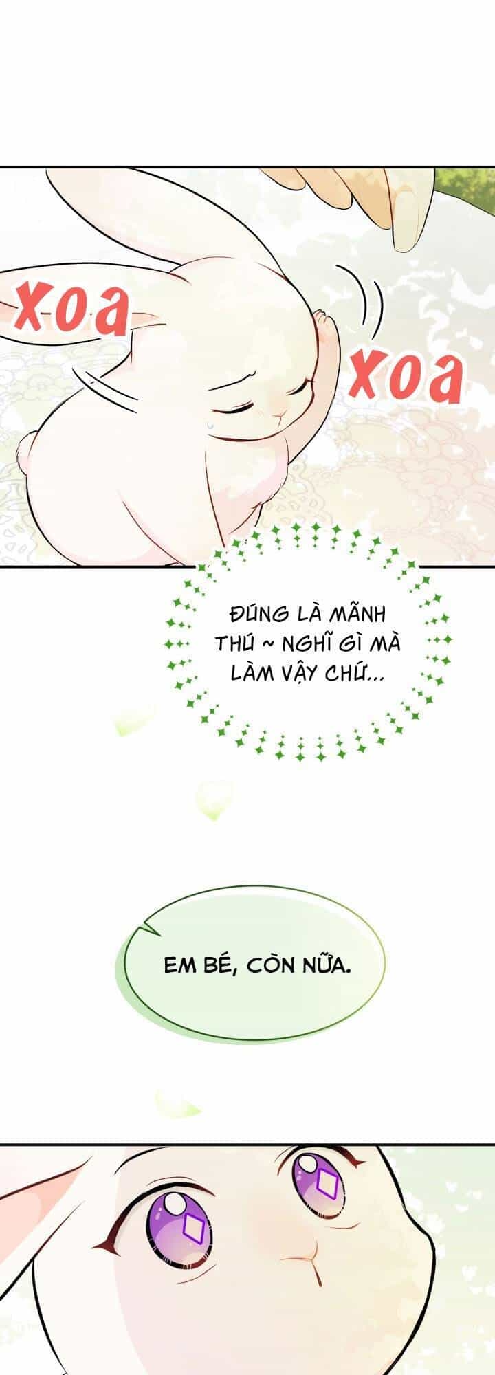 Mối Liên Kết Giữa Báo Đen Và Bé Thỏ - Chương 5 - ảnh 31