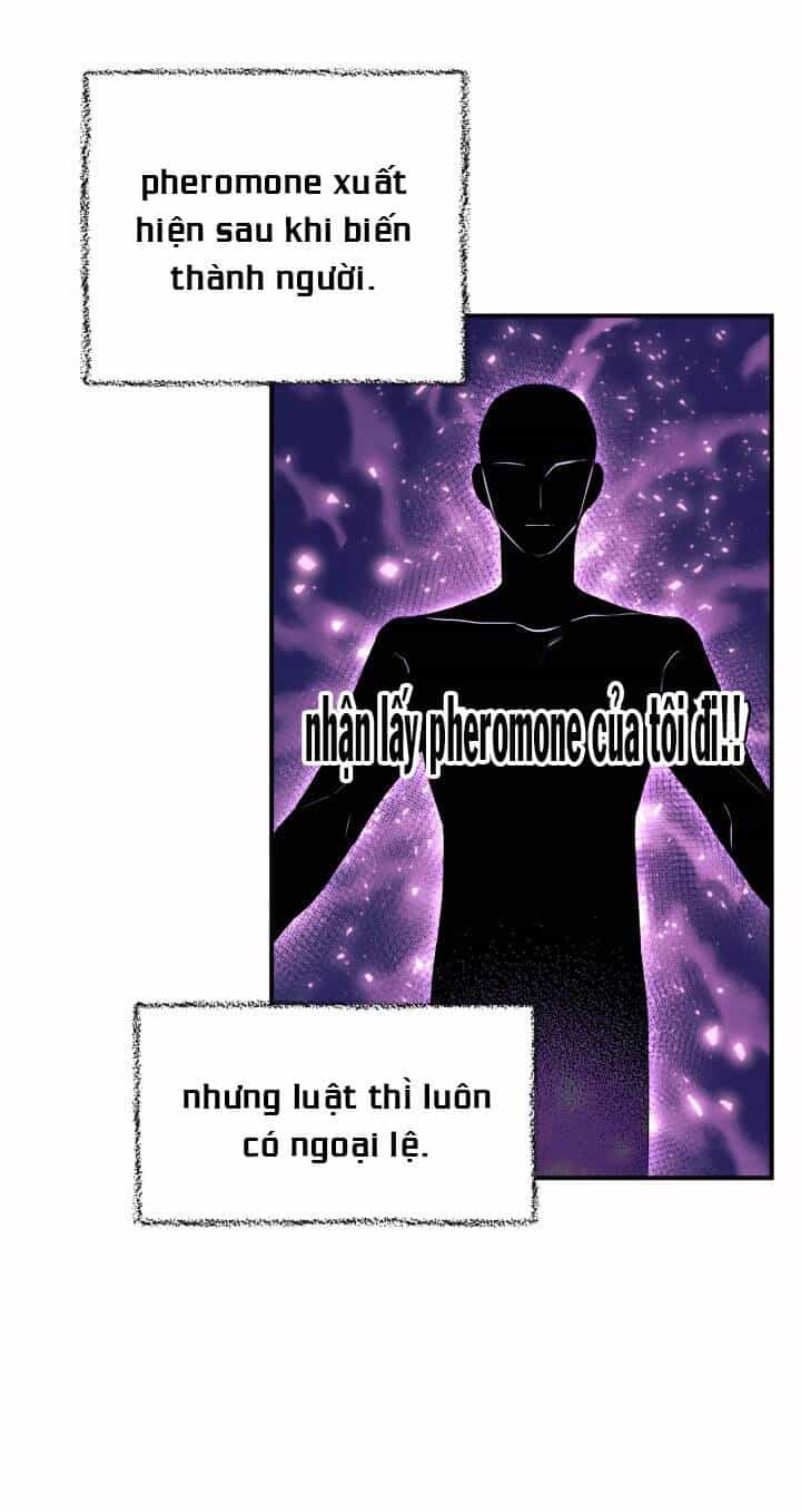 Mối Liên Kết Giữa Báo Đen Và Bé Thỏ - Chương 5 - ảnh 42
