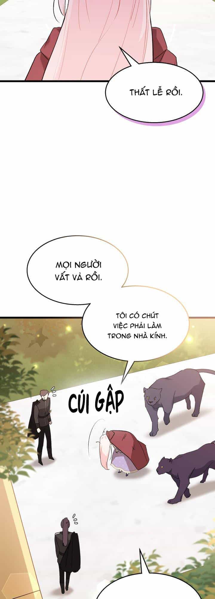 Mối Liên Kết Giữa Báo Đen Và Bé Thỏ - Chương 85 - ảnh 42