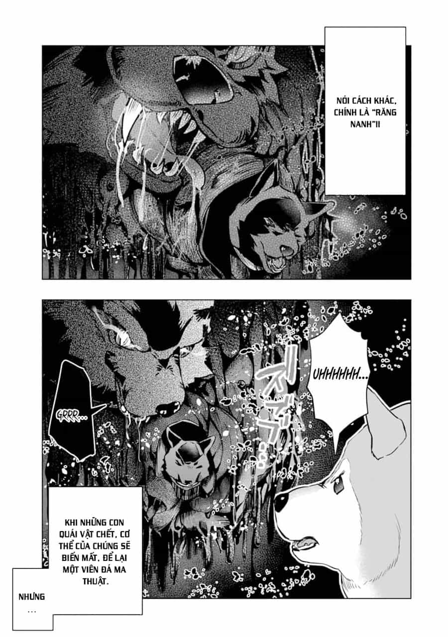 Monster Ga Afureru Sekai Ni Natta Node Suki Ni Ikitai To Omoimasu - Chương 24 - ảnh 9