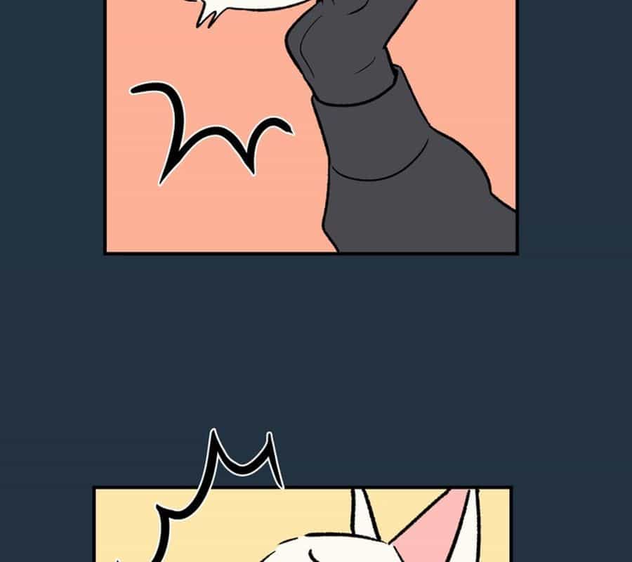 Morgana And Oz - Chương 16 - ảnh 38