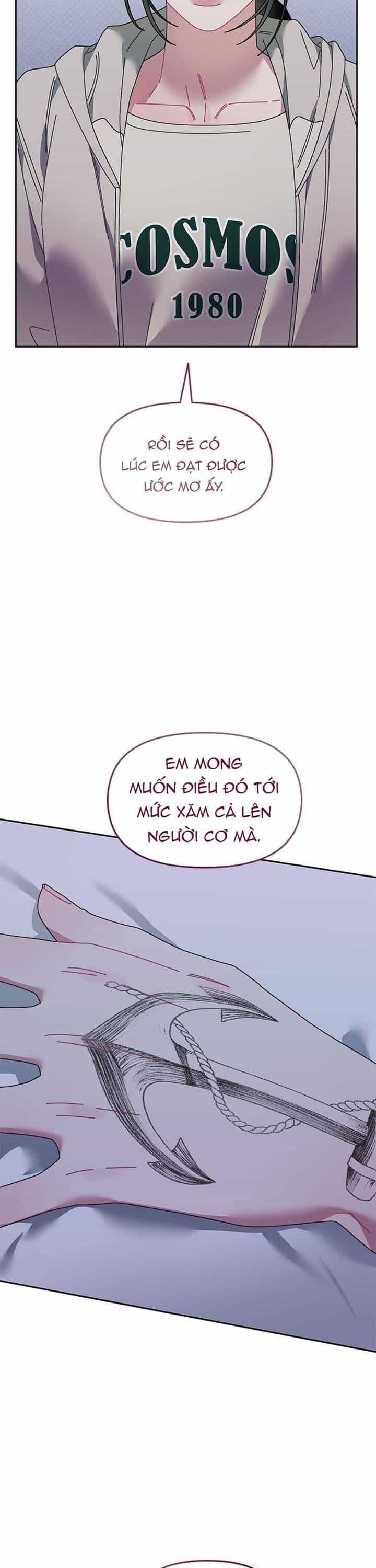 Một Bông Hoa Nở Trên Tường - Chương 23 - ảnh 21