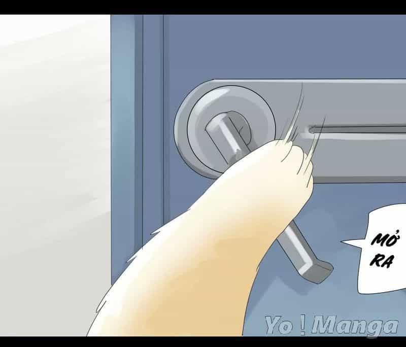 Một Con Chó - Chương 24 - ảnh 13