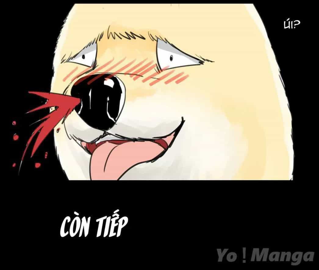 Một Con Chó - Chương 46 - ảnh 12