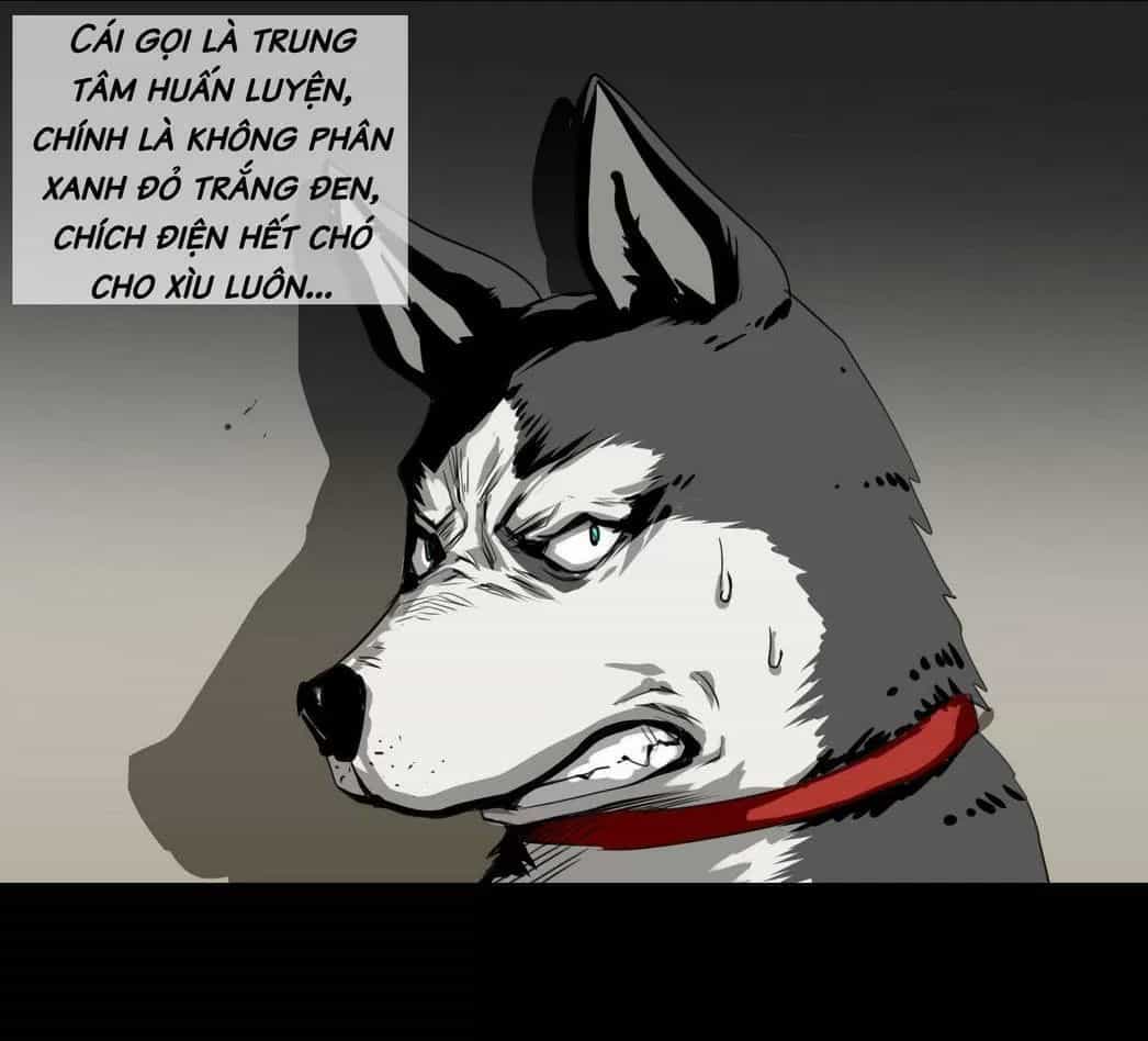 Một Con Chó - Chương 58 - ảnh 10