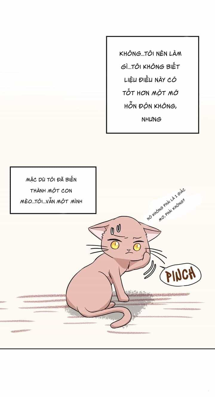 Một Cuộc Sống Kỳ Lạ - Chương 1 - ảnh 47