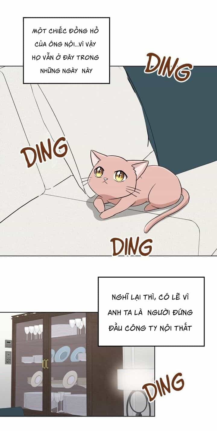 Một Cuộc Sống Kỳ Lạ - Chương 1 - ảnh 75