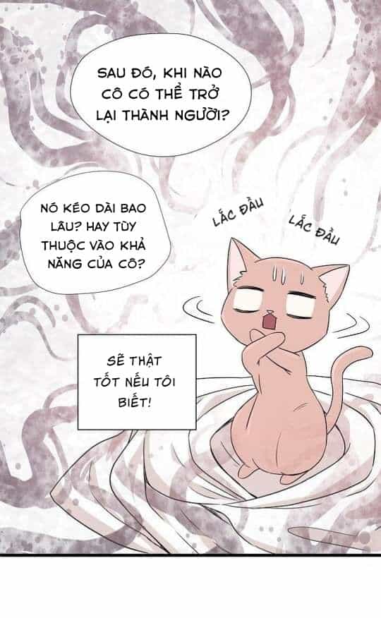 Một Cuộc Sống Kỳ Lạ - Chương 2 - ảnh 47