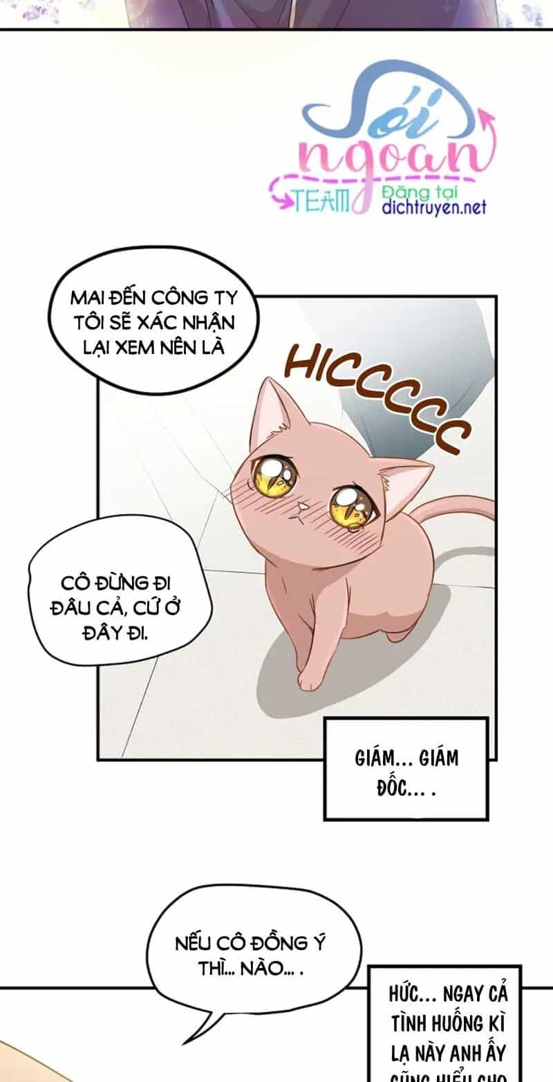 Một Cuộc Sống Kỳ Lạ - Chương 3 - ảnh 12